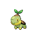 Turtwig