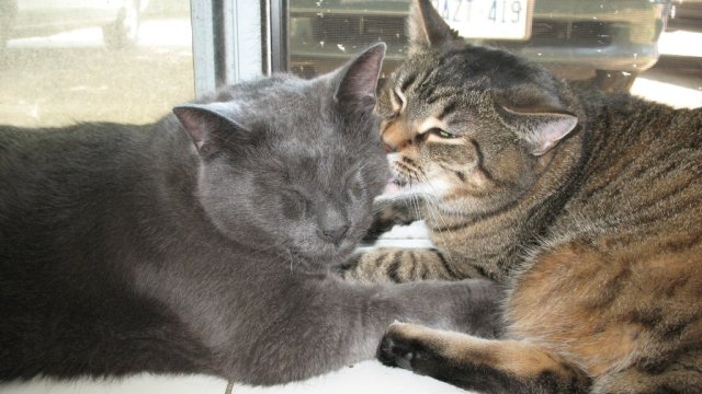 Tidus and Kairi Cleaning